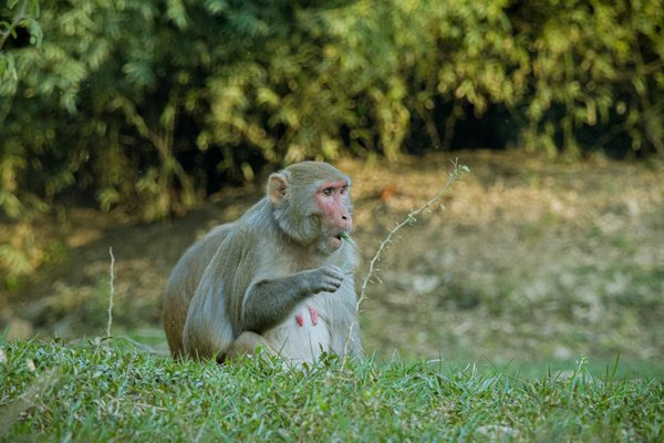 Mineur non accompagné en france : guide et droits essentiels